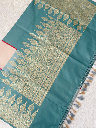 Banarasi Ektara Katan Silk Saree | Tissue Organza Band | Light Teal Blue | Thread Work | Handwoven | Silk Mark | Ships from California